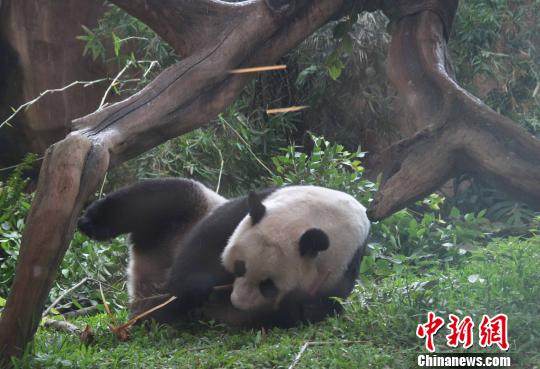 �D�顰�����������似��(c��)�L������������ �z