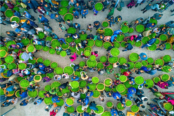 ��ɽ����