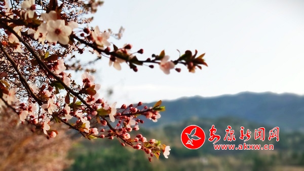 ��ɫ���� ����ˮ�l