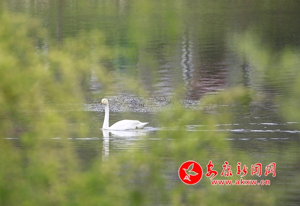 ����ˮ�l�ô���