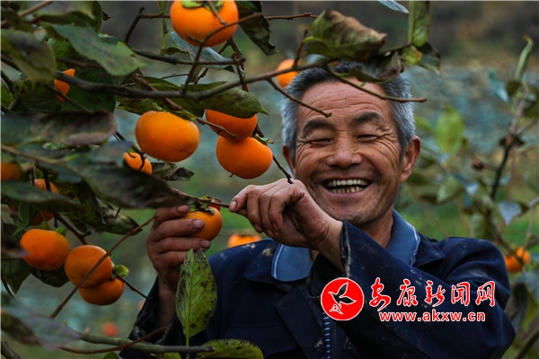 ������Ҋ���Ӽt