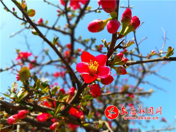 �h��������@��ů���_(k��i)