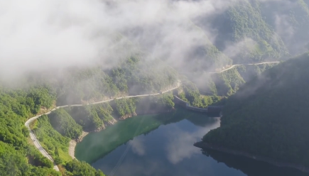 �(zh��n)ƺ����(g��)�����x����(gu��)��ɭ���l(xi��ng)�塱