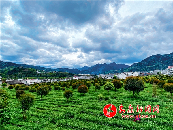 �����ժ�r(sh��)