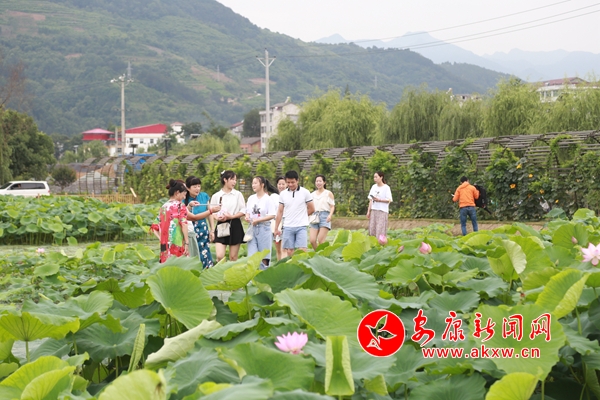 ʯȪ�غӣ��ɻ��h�����́�(l��i)