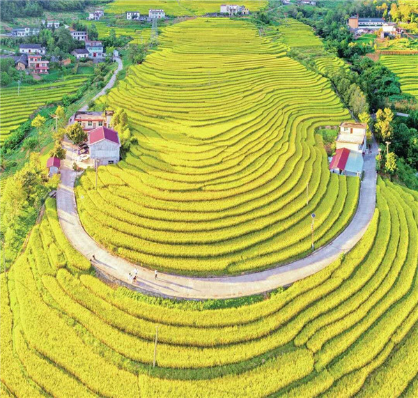 �����΢Ц����