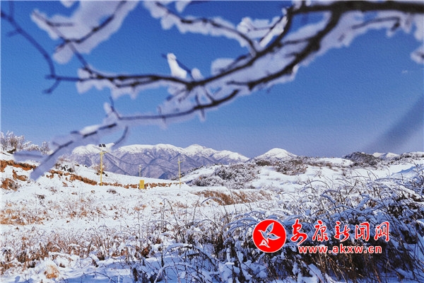 ��ꖶ��������� �y�b�ع�������