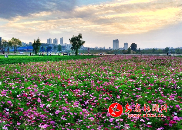 �ߣ��������ǖ|�^����ȥ