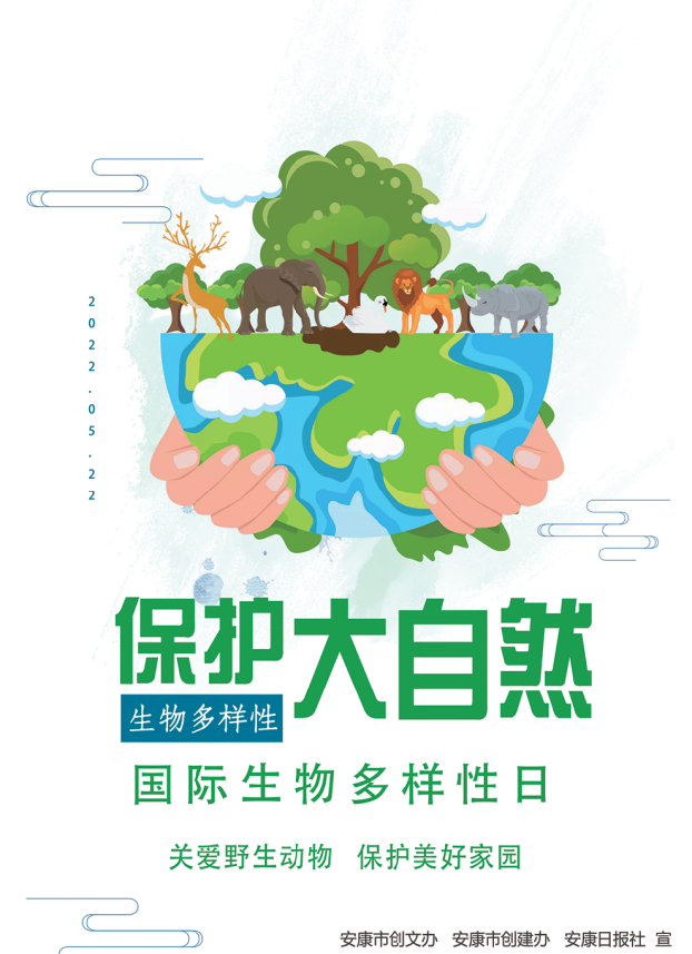 ���o����Ȼ