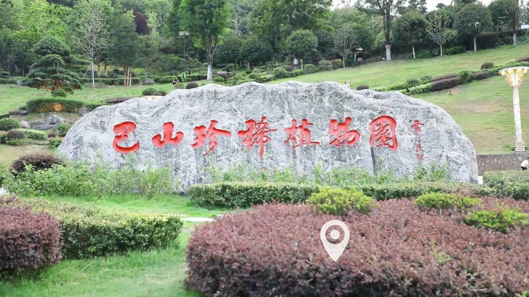 �������ֲ��@