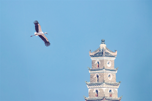 �|�����X�F������