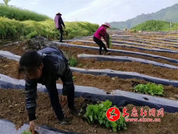 ��ƺ患�4000����������ȫ����_