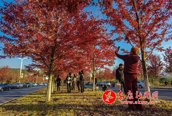 �t�~�^�p�����r