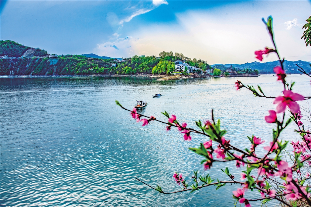 �f(w��n)핱̺� ��(sh��)֦��ɫ