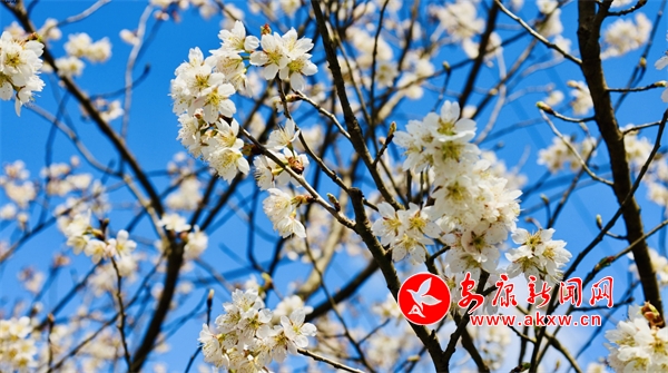 ǧ���ѻ�ӭ�́�(l��i)