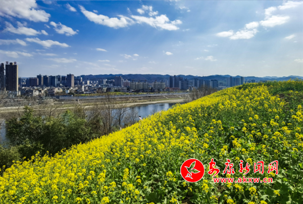 �Ͳ˻���ӳ�{(l��n)��