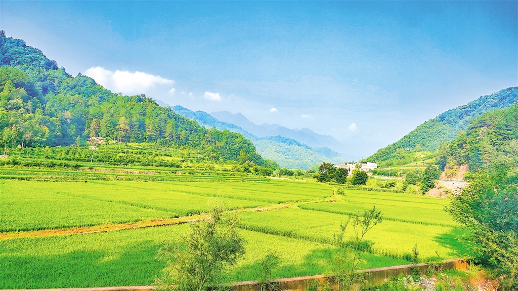 �����l���L���箋