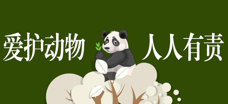 ���o���������؟