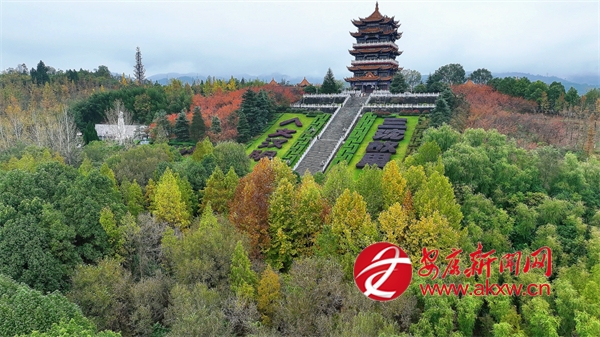 �������@�ߔ��箋