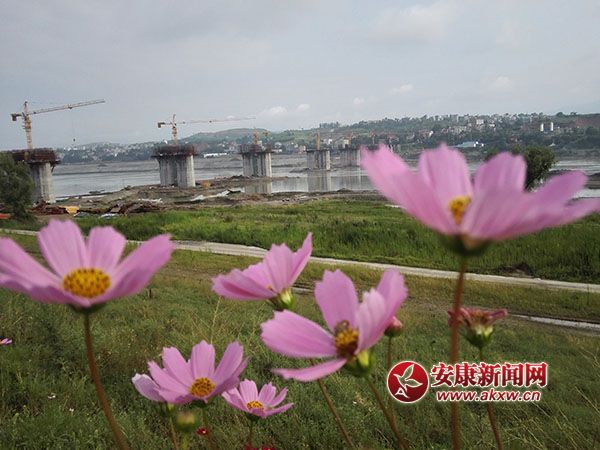 ���B����