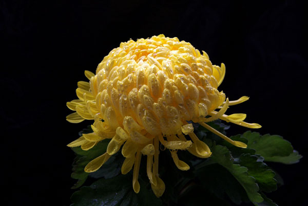 ����һ��ջ��_ ��ȶ��˰����