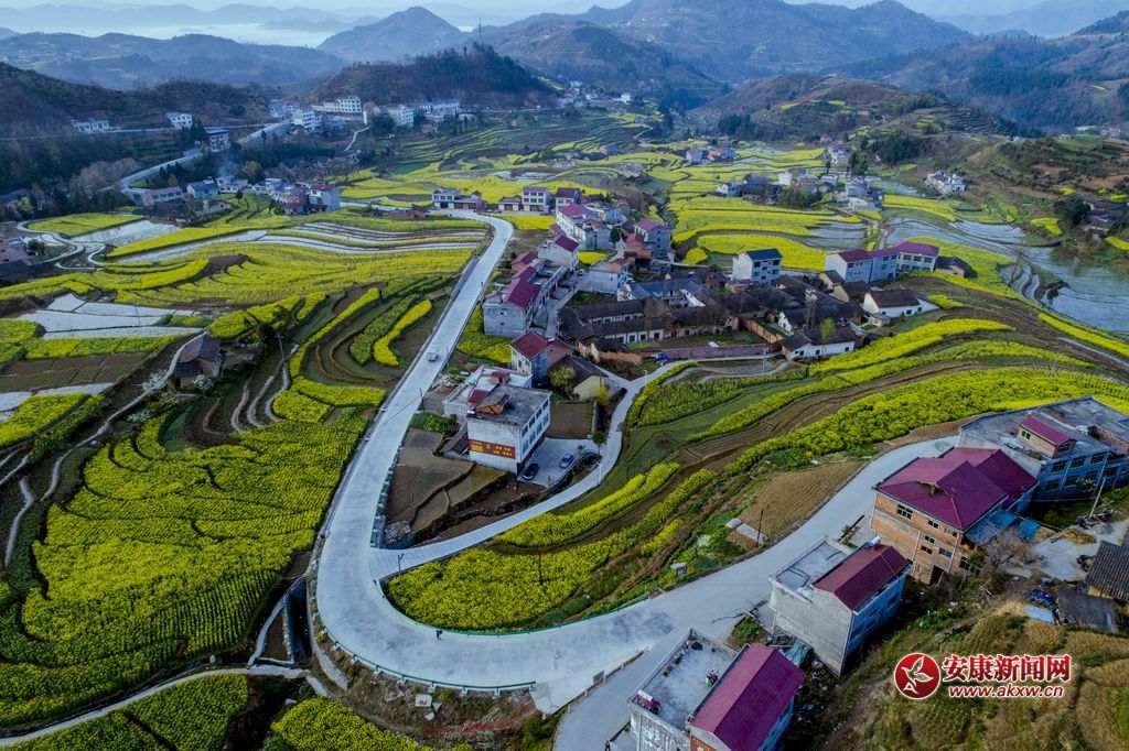 ���P�ߴ�ɫ���zӰ��Ƥ�¾S���Ԓ���h��13325355508���Ĕz�����ʡ�hꎿh���u��P�߹���� - ����.JPG