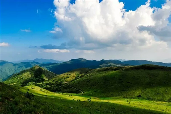 �ؾ����w�ɍ{�S����