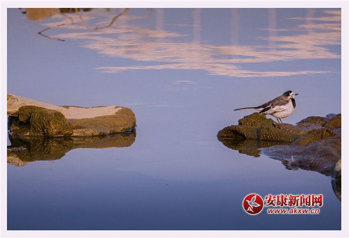 ��ˮ��һɫ���zӰ��Ƥ�¾S���f��������Ƭ��2017��12��3�������ʡ�����Нh�����Ĕz�ģ�չ�F�����õ����B�h����ϵ�Ԓ��